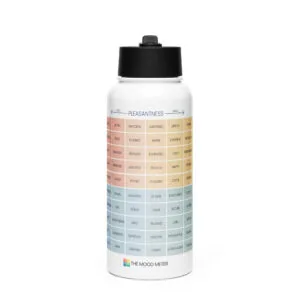 Stainless Steel Water Bottle – with Straw Lid & Handle