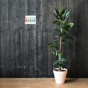 RULER Photo Paper Poster – Resistant Wall Art - Image 8