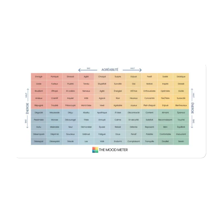 Magnet du Mood Meter – Édition Française