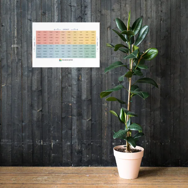 Affiche sur Papier Photo du Mood Meter – Édition Française