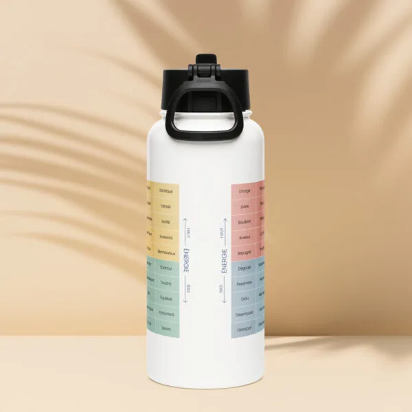 Bouteille en Acier Inoxydable avec Paille du Mood Meter – Édition Française
