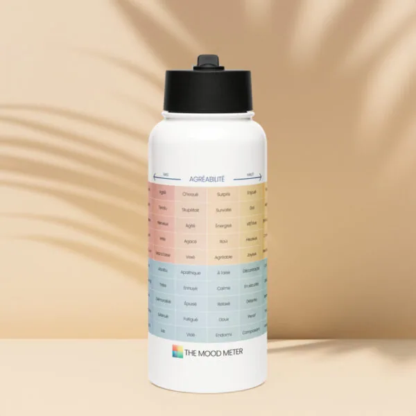 Bouteille en Acier Inoxydable avec Paille du Mood Meter – Édition Française