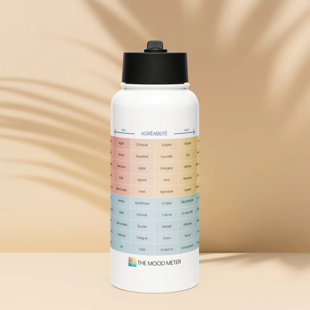 Bouteille en Acier Inoxydable avec Paille du Mood Meter – Édition Française