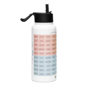 Stainless Steel Water Bottle – with Straw Lid & Handle - Image 5